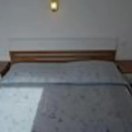 Daire Vinka Tito Igrane